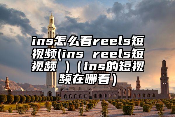 ins怎么看reels短视频(ins reels短视频 )（ins的短视频在哪看）