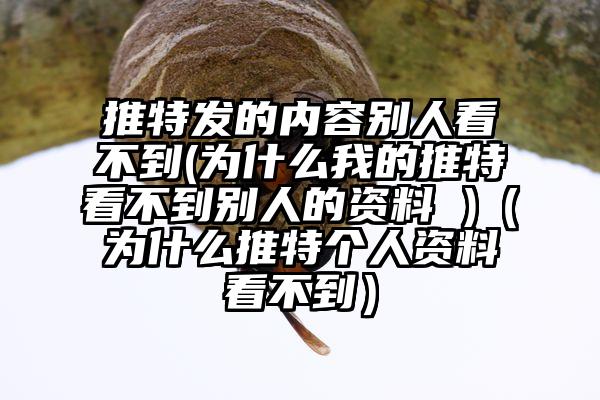 推特发的内容别人看不到(为什么我的推特看不到别人的资料 )（为什么推特个人资料看不到）
