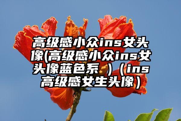 高级感小众ins女头像(高级感小众ins女头像蓝色系 )（ins高级感女生头像）