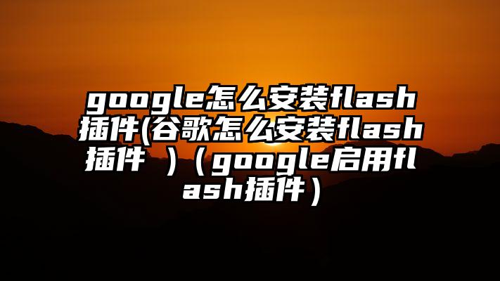 google怎么安装flash插件(谷歌怎么安装flash插件 )（google启用flash插件）