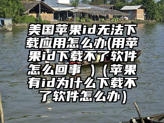 美国苹果id无法下载应用怎么办(用苹果id下载不了软件怎么回事 )（苹果有id为什么下载不了软件怎么办）
