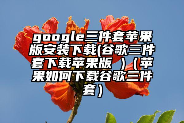google三件套苹果版安装下载(谷歌三件套下载苹果版 )（苹果如何下载谷歌三件套）