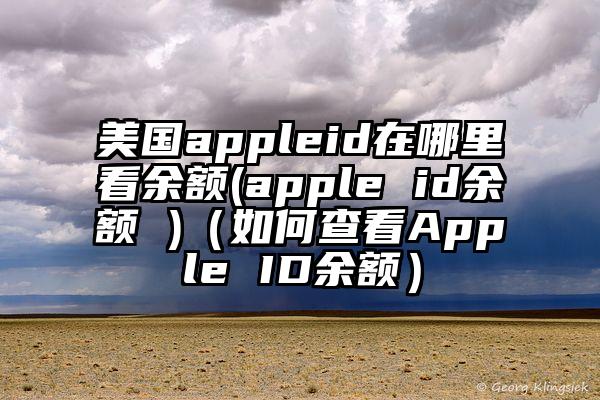 美国appleid在哪里看余额(apple id余额 )（如何查看Apple ID余额）