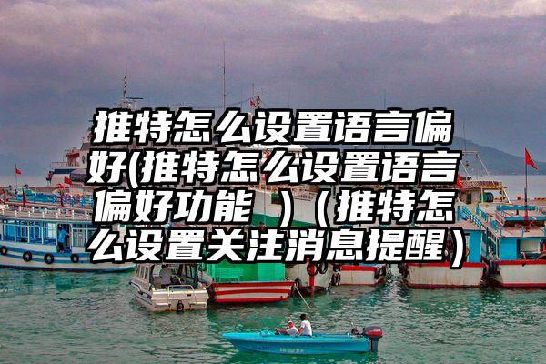 推特怎么设置语言偏好(推特怎么设置语言偏好功能 )（推特怎么设置关注消息提醒）