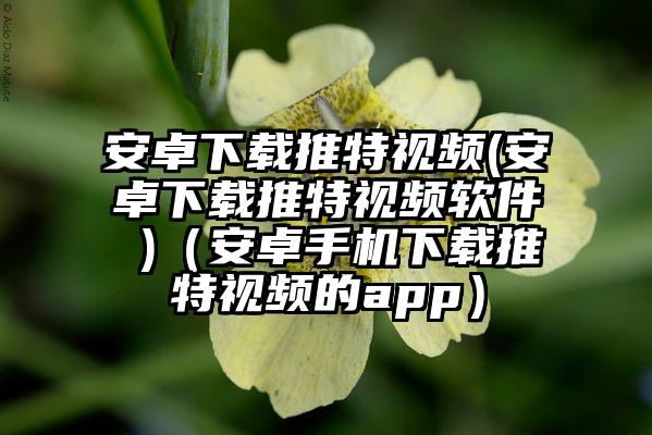安卓下载推特视频(安卓下载推特视频软件 )（安卓手机下载推特视频的app）