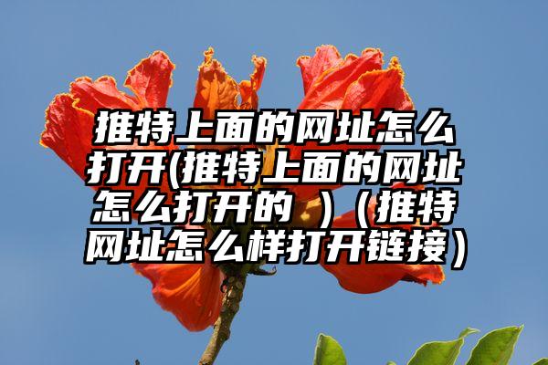 推特上面的网址怎么打开(推特上面的网址怎么打开的 )（推特网址怎么样打开链接）