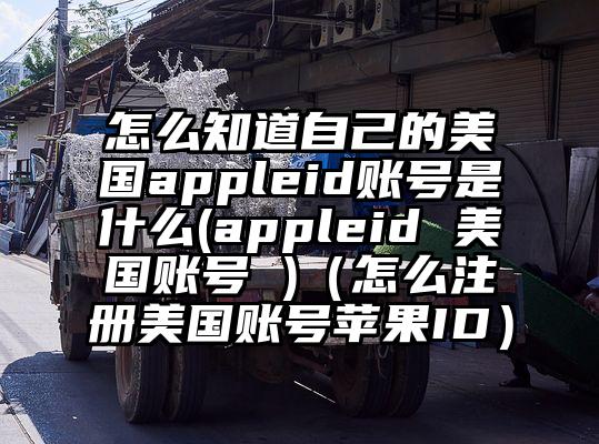 怎么知道自己的美国appleid账号是什么(appleid 美国账号 )(怎么注册美国账号苹果ID)