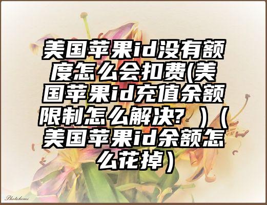 美国苹果id没有额度怎么会扣费(美国苹果id充值余额限制怎么解决? )（美国苹果id余额怎么花掉）