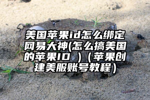 美国苹果id怎么绑定网易大神(怎么搞美国的苹果ID )（苹果创建美服账号教程）