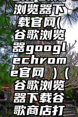 googlechrome浏览器下载官网(谷歌浏览器googlechrome官网 )（谷歌浏览器下载谷歌商店打不开怎么办）