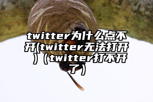 twitter为什么点不开(twitter无法打开 )（twitter打不开了）