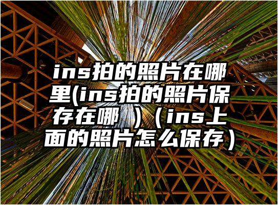 ins拍的照片在哪里(ins拍的照片保存在哪 )（ins上面的照片怎么保存）