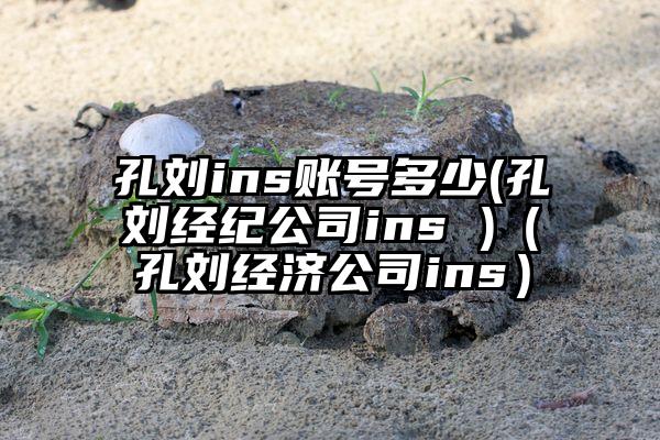 孔刘ins账号多少(孔刘经纪公司ins )（孔刘经济公司ins）