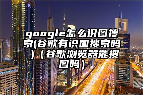 google怎么识图搜索(谷歌有识图搜索吗 )（谷歌浏览器能搜图吗）