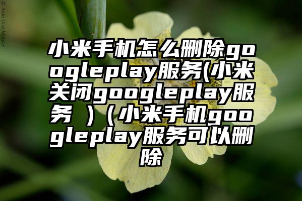 小米手机怎么删除googleplay服务(小米关闭googleplay服务 )（小米手机googleplay服务可以删除