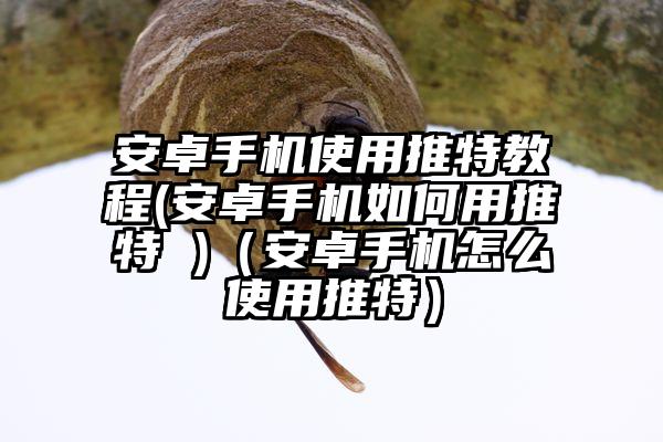 安卓手机使用推特教程(安卓手机如何用推特 )（安卓手机怎么使用推特）