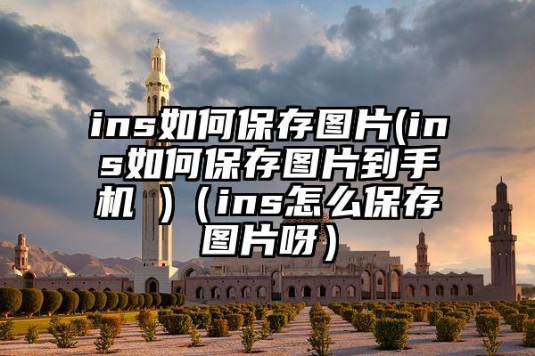 ins如何保存图片(ins如何保存图片到手机 )（ins怎么保存图片呀）