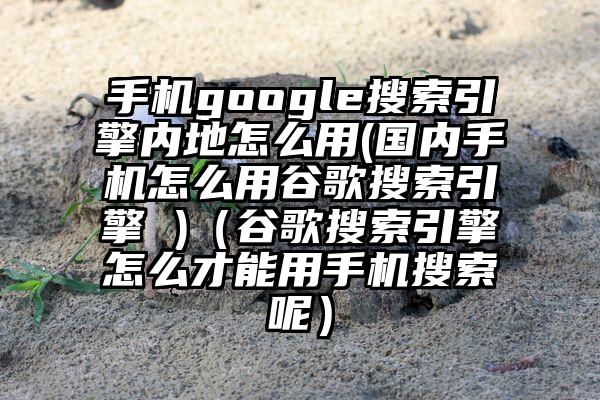 手机google搜索引擎内地怎么用(国内手机怎么用谷歌搜索引擎 )（谷歌搜索引擎怎么才能用手机搜索呢）