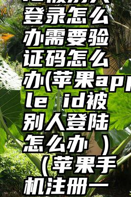 美国苹果id被别人登录怎么办需要验证码怎么办(苹果apple id被别人登陆怎么办 )（苹果手机注册一个美国id账号填号