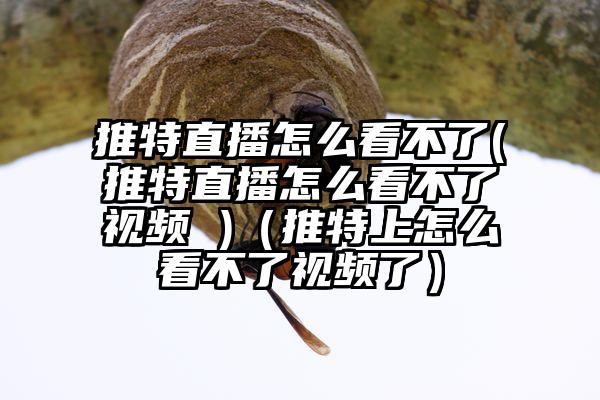 推特直播怎么看不了(推特直播怎么看不了视频 )（推特上怎么看不了视频了）