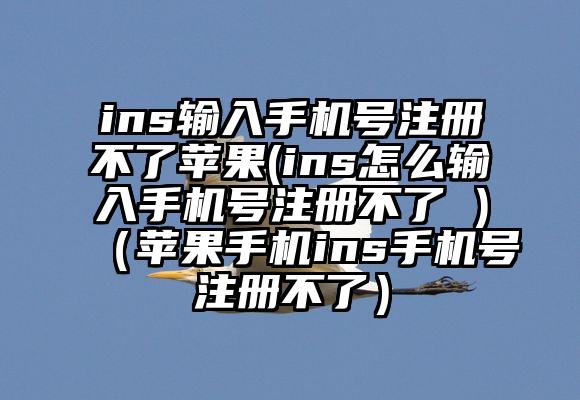 ins输入手机号注册不了苹果(ins怎么输入手机号注册不了 )（苹果手机ins手机号注册不了）