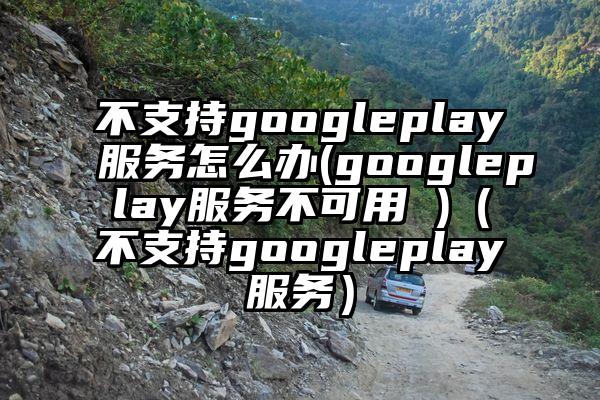 不支持googleplay服务怎么办(googleplay服务不可用 )（不支持googleplay服务）