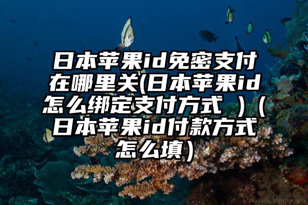 日本苹果id免密支付在哪里关(日本苹果id怎么绑定支付方式 )（日本苹果id付款方式怎么填）