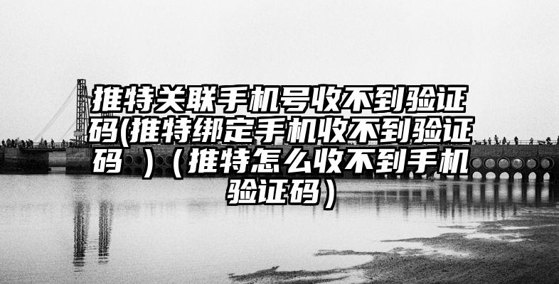 推特关联手机号收不到验证码(推特绑定手机收不到验证码 )（推特怎么收不到手机验证码）