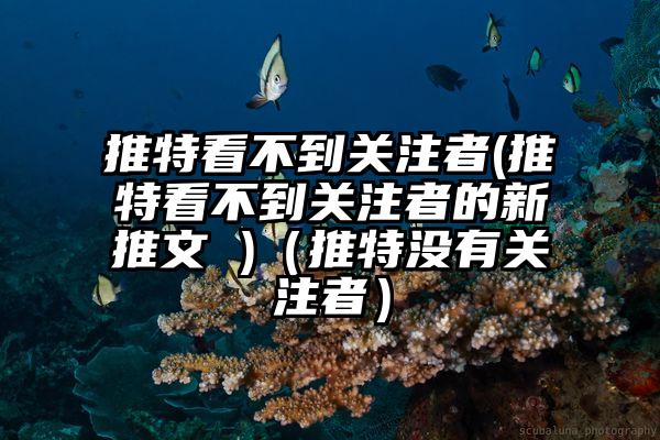 推特看不到关注者(推特看不到关注者的新推文 )（推特没有关注者）