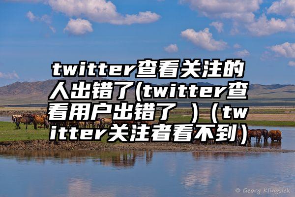 twitter查看关注的人出错了(twitter查看用户出错了 )（twitter关注者看不到）