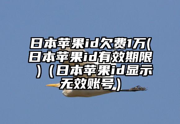 日本苹果id欠费1万(日本苹果id有效期限 )（日本苹果id显示无效账号）