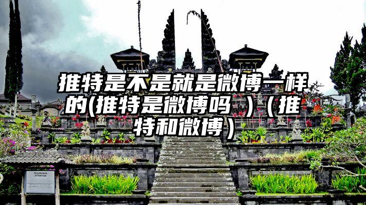 推特是不是就是微博一样的(推特是微博吗 )（推特和微博）