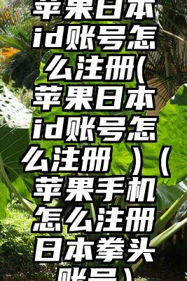 苹果日本id账号怎么注册(苹果日本id账号怎么注册 )（苹果手机怎么注册日本拳头账号）