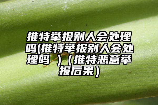推特举报别人会处理吗(推特举报别人会处理吗 )（推特恶意举报后果）