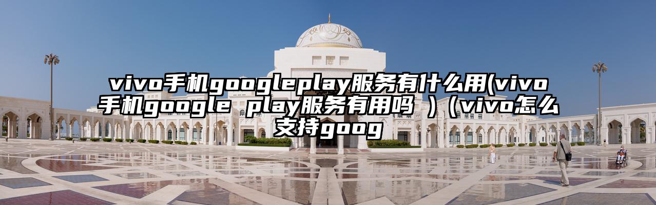 vivo手机googleplay服务有什么用(vivo手机google play服务有用吗 )（vivo怎么支持goog