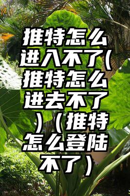 推特怎么进入不了(推特怎么进去不了 )（推特怎么登陆不了）