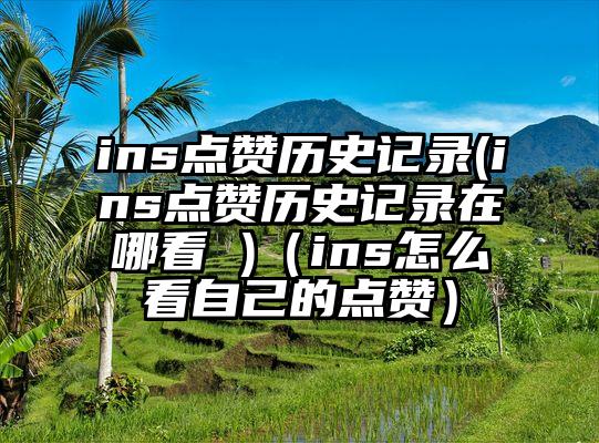 ins点赞历史记录(ins点赞历史记录在哪看 )（ins怎么看自己的点赞）