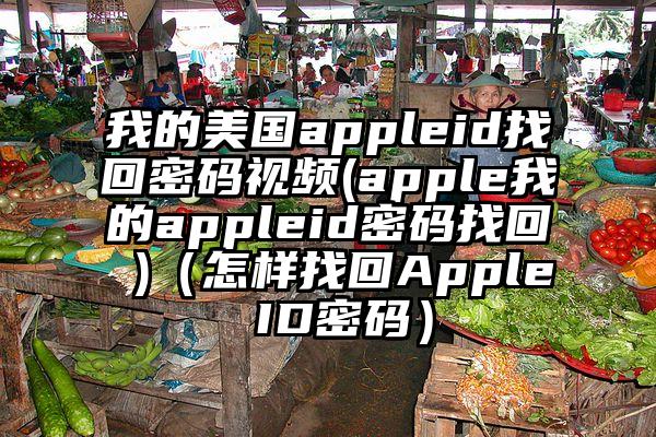 我的美国appleid找回密码视频(apple我的appleid密码找回 )（怎样找回Apple ID密码）