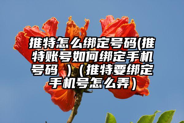 推特怎么绑定号码(推特账号如何绑定手机号码 )（推特要绑定手机号怎么弄）