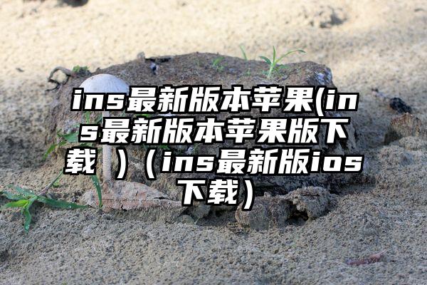 ins最新版本苹果(ins最新版本苹果版下载 )（ins最新版ios下载）