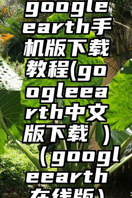 googleearth手机版下载教程(googleearth中文版下载 )（googleearth在线版）
