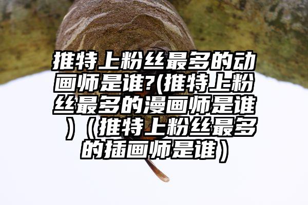 推特上粉丝最多的动画师是谁?(推特上粉丝最多的漫画师是谁 )（推特上粉丝最多的插画师是谁）