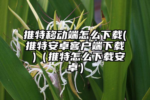 推特移动端怎么下载(推特安卓客户端下载 )（推特怎么下载安卓）
