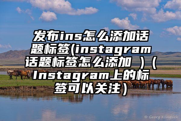 发布ins怎么添加话题标签(instagram话题标签怎么添加 )（Instagram上的标签可以关注）