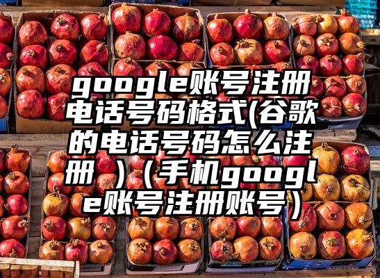 google账号注册电话号码格式(谷歌的电话号码怎么注册 )（手机google账号注册账号）