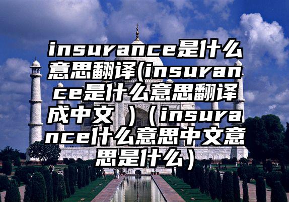 insurance是什么意思翻译(insurance是什么意思翻译成中文 )（insurance什么意思中文意思是什么）