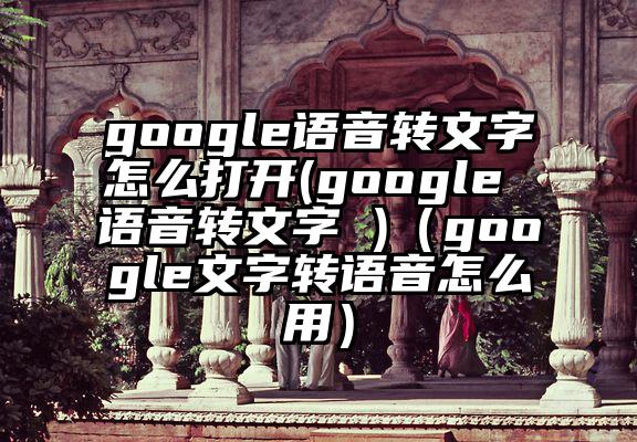 google语音转文字怎么打开(google 语音转文字 )（google文字转语音怎么用）