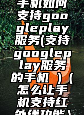 手机如何支持googleplay服务(支持googleplay服务的手机 )（怎么让手机支持红外线功能）