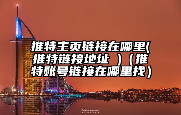 推特主页链接在哪里(推特链接地址 )（推特账号链接在哪里找）
