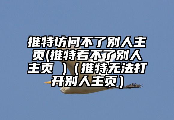 推特访问不了别人主页(推特看不了别人主页 )（推特无法打开别人主页）